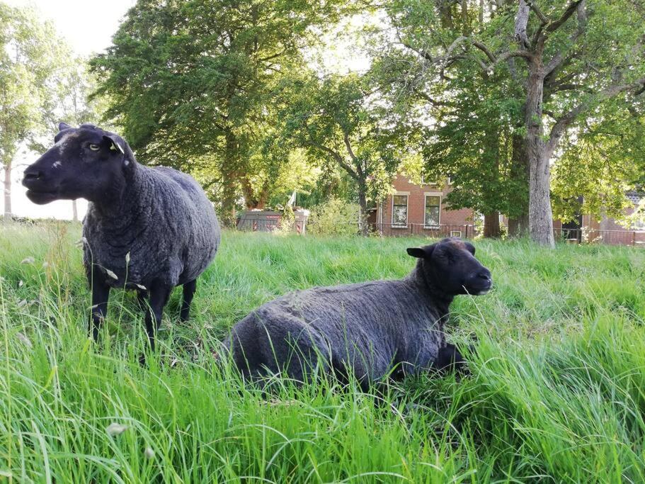 'T Pekelhuis - Vakantiehuisje Op Boerderij Huize Blokland Hem Exterior foto